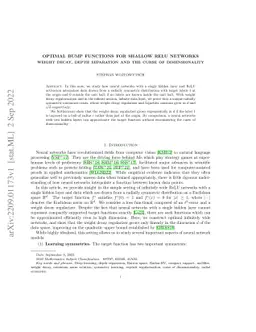 Optimal bump functions for shallow ReLU networks: Weight decay, depth
  separation and the curse of dimensionality