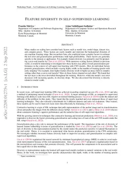 Feature diversity in self-supervised learning