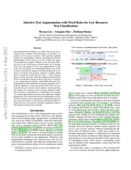 Selective Text Augmentation with Word Roles for Low-Resource Text
  Classification