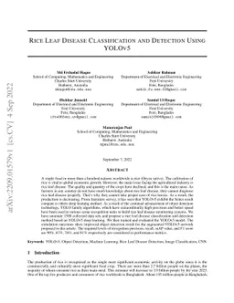 Rice Leaf Disease Classification and Detection Using YOLOv5