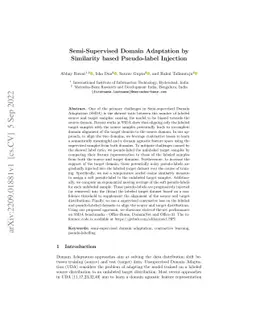 Semi-Supervised Domain Adaptation by Similarity based Pseudo-label
  Injection