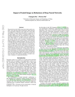 Impact of Scaled Image on Robustness of Deep Neural Networks