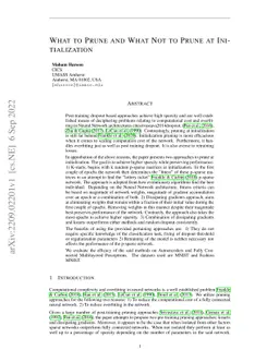 What to Prune and What Not to Prune at Initialization
