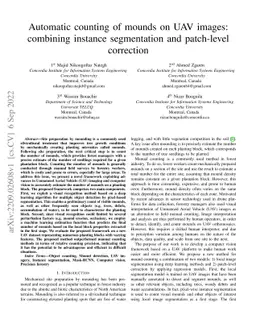 Automatic counting of mounds on UAV images: combining instance
  segmentation and patch-level correction