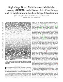 Single-Stage Broad Multi-Instance Multi-Label Learning (BMIML) with
  Diverse Inter-Correlations and its application to medical image
  classification