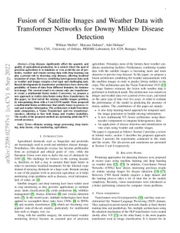 Fusion of Satellite Images and Weather Data with Transformer Networks
  for Downy Mildew Disease Detection