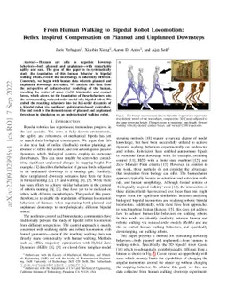 From Human Walking to Bipedal Robot Locomotion: Reflex Inspired
  Compensation on Planned and Unplanned Downsteps