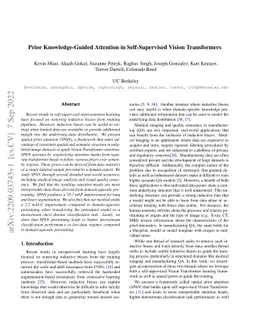 Prior Knowledge-Guided Attention in Self-Supervised Vision Transformers