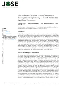 What and How of Machine Learning Transparency: Building Bespoke
  Explainability Tools with Interoperable Algorithmic Components