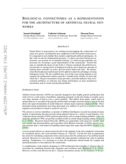 Biological connectomes as a representation for the architecture of
  artificial neural networks