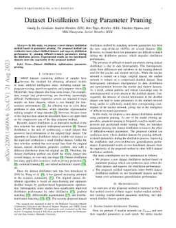 Dataset Distillation Using Parameter Pruning