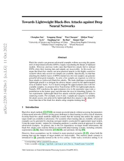 Towards Lightweight Black-Box Attacks against Deep Neural Networks