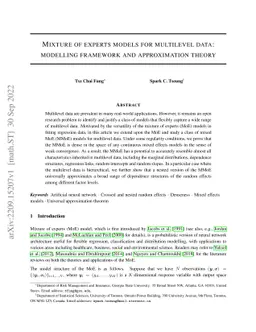 Mixture of experts models for multilevel data: modelling framework and
  approximation theory