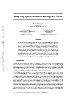 Many-body Approximation for Non-negative Tensors