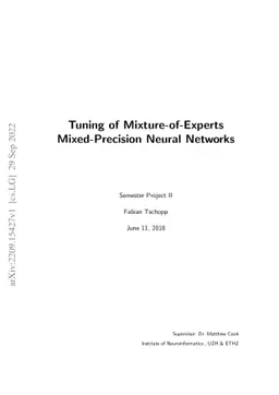 Tuning of Mixture-of-Experts Mixed-Precision Neural Networks