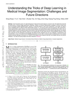 Understanding the Tricks of Deep Learning in Medical Image Segmentation:
  Challenges and Future Directions