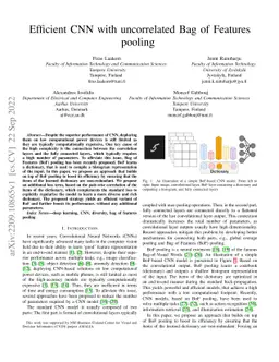 Efficient CNN with uncorrelated Bag of Features pooling