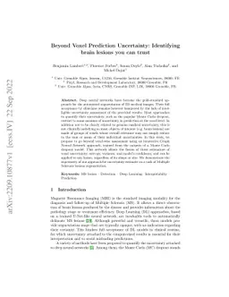 Beyond Voxel Prediction Uncertainty: Identifying brain lesions you can
  trust