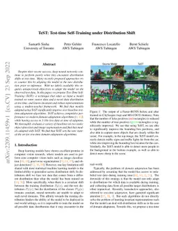 TeST: Test-time Self-Training under Distribution Shift