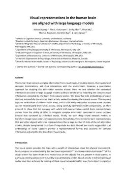 Visual representations in the human brain are aligned with large
  language models