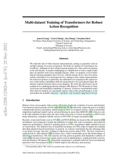 Multi-dataset Training of Transformers for Robust Action Recognition