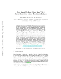 Real-RawVSR: Real-World Raw Video Super-Resolution with a Benchmark
  Dataset