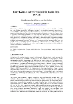 Soft-labeling Strategies for Rapid Sub-Typing