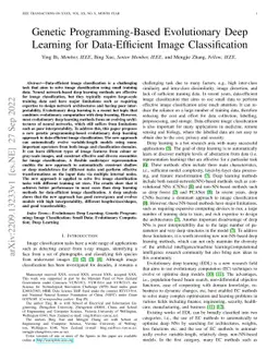 Genetic Programming-Based Evolutionary Deep Learning for Data-Efficient
  Image Classification