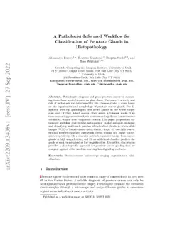 A Pathologist-Informed Workflow for Classification of Prostate Glands in
  Histopathology