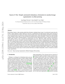 Sauron U-Net: Simple automated redundancy elimination in medical image
  segmentation via filter pruning