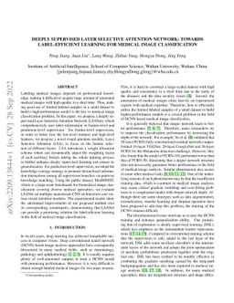 Deeply Supervised Layer Selective Attention Network: Towards
  Label-Efficient Learning for Medical Image Classification