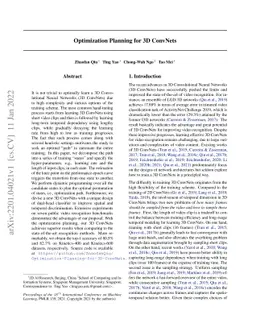 Optimization Planning for 3D ConvNets