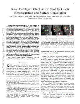 Knee Cartilage Defect Assessment by Graph Representation and Surface
  Convolution