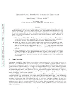 Dynamic Local Searchable Symmetric Encryption