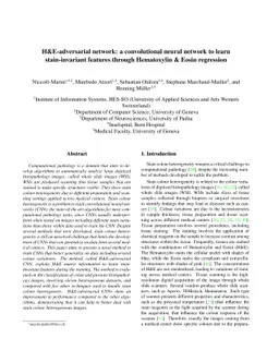 H&E-adversarial network: a convolutional neural network to learn
  stain-invariant features through Hematoxylin & Eosin regression