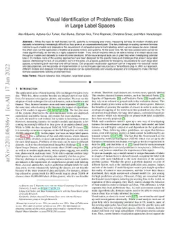 Visual Identification of Problematic Bias in Large Label Spaces