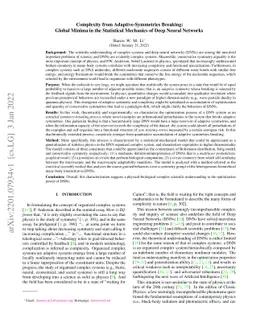 Complexity from Adaptive-Symmetries Breaking: Global Minima in the
  Statistical Mechanics of Deep Neural Networks