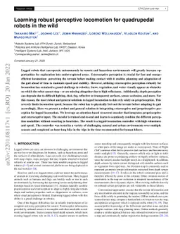Learning robust perceptive locomotion for quadrupedal robots in the wild