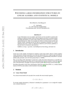 Encoding large information structures in linear algebra and statistical
  models