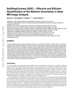 SoftDropConnect (SDC) -- Effective and Efficient Quantification of the
  Network Uncertainty in Deep MR Image Analysis