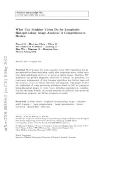 What Can Machine Vision Do for Lymphatic Histopathology Image Analysis:
  A Comprehensive Review