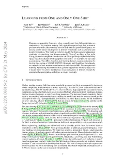 Learning from One and Only One Shot