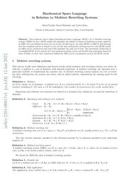 Biochemical Space Language in Relation to Multiset Rewriting Systems
