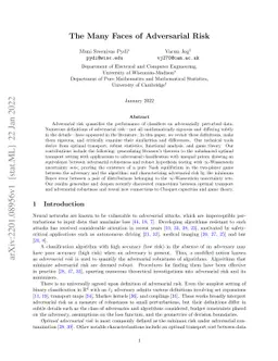 The Many Faces of Adversarial Risk