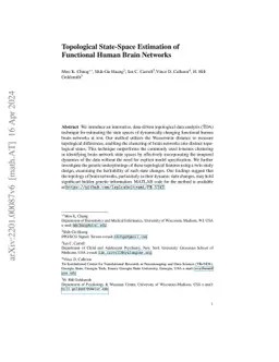 Persistent Homological State-Space Estimation of Functional Human Brain
  Networks at Rest