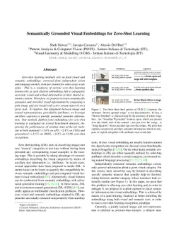 Semantically Grounded Visual Embeddings for Zero-Shot Learning