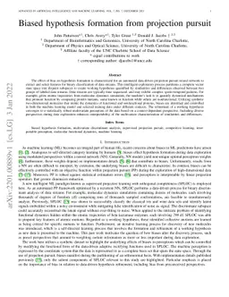 Biased Hypothesis Formation From Projection Pursuit