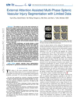 External Attention Assisted Multi-Phase Splenic Vascular Injury
  Segmentation with Limited Data