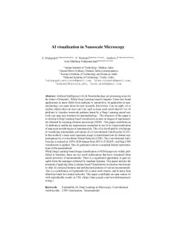AI visualization in Nanoscale Microscopy