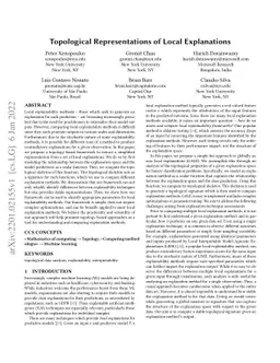 Topological Representations of Local Explanations